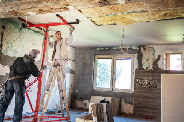 Best Residential Insulation in Hudson, FL